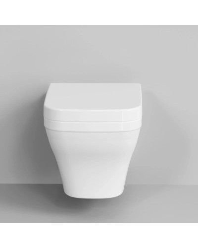 Сиденье для унитаза с микролифтом Ambassador Benefit 202T20001