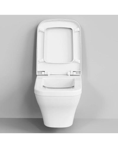 Сиденье для унитаза с микролифтом Ambassador Benefit 202T20001