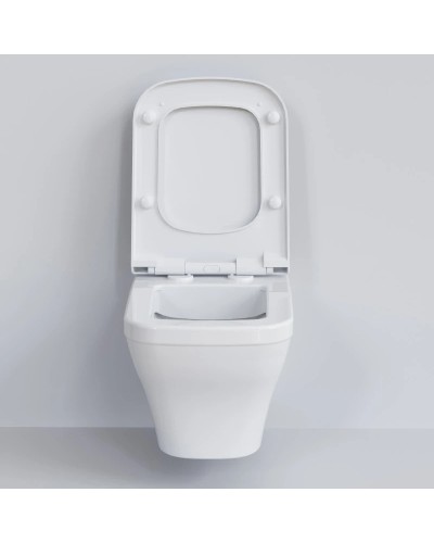 Сиденье для унитаза с микролифтом Ambassador Benefit 202T20001S