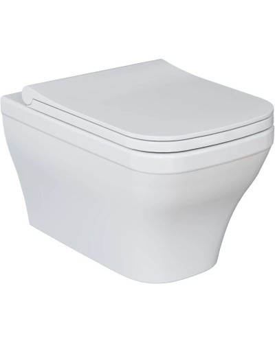 Сиденье для унитаза с микролифтом Ambassador Benefit 202T20001S