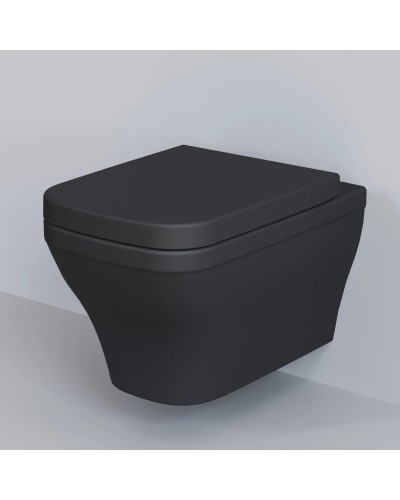 Сиденье для унитаза с микролифтом Ambassador Benefit 202T20201