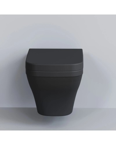 Сиденье для унитаза с микролифтом Ambassador Benefit 202T20201