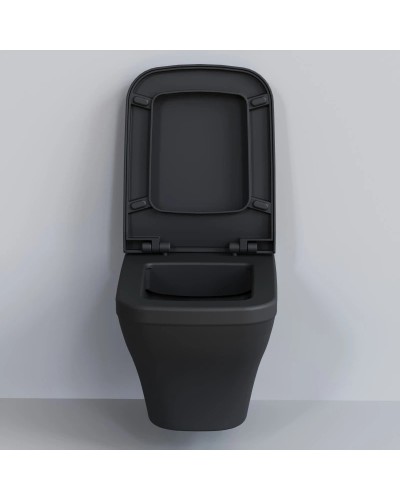 Сиденье для унитаза с микролифтом Ambassador Benefit 202T20201