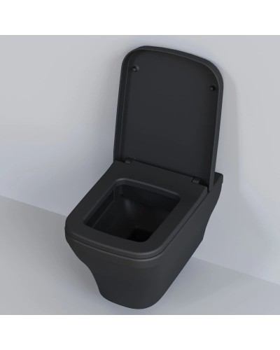 Сиденье для унитаза с микролифтом Ambassador Benefit 202T20201