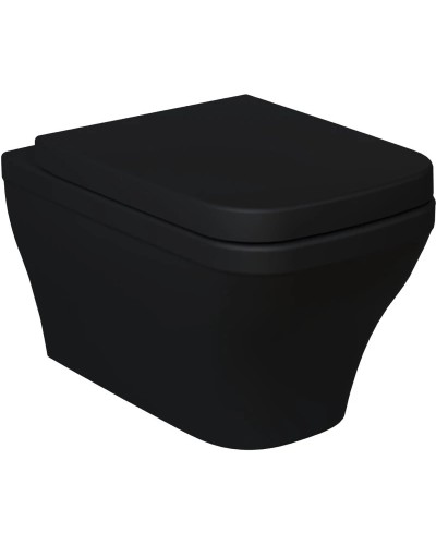 Сиденье для унитаза с микролифтом Ambassador Benefit 202T20201