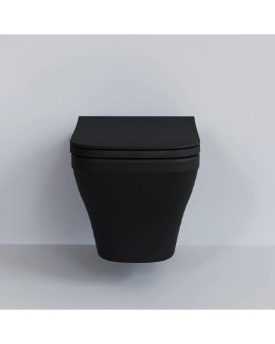 Сиденье для унитаза с микролифтом Ambassador Benefit 202T20201S