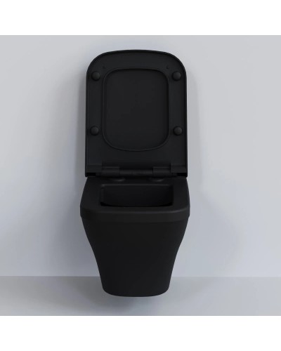 Сиденье для унитаза с микролифтом Ambassador Benefit 202T20201S