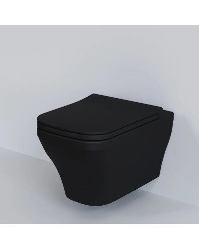 Сиденье для унитаза с микролифтом Ambassador Benefit 202T20201S