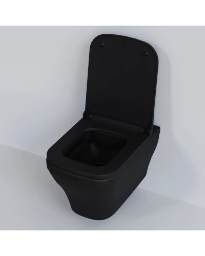 Сиденье для унитаза с микролифтом Ambassador Benefit 202T20201S