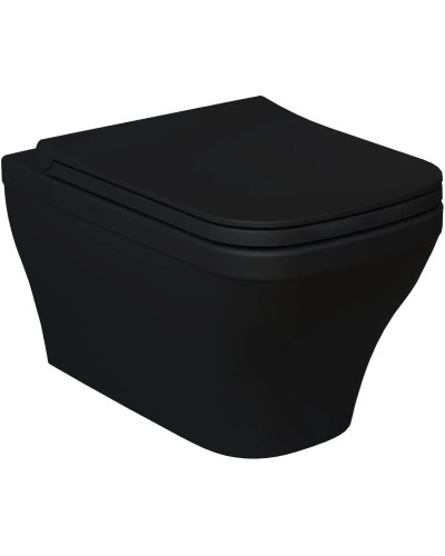 Сиденье для унитаза с микролифтом Ambassador Benefit 202T20201S