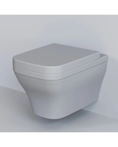 Сиденье для унитаза с микролифтом Ambassador Benefit 202T20301