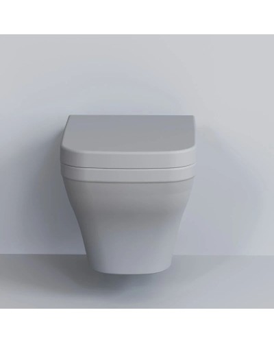 Сиденье для унитаза с микролифтом Ambassador Benefit 202T20301