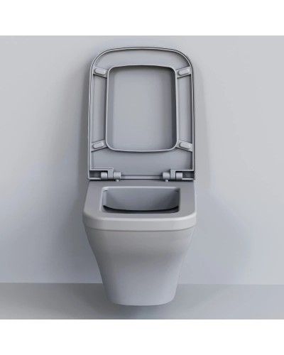 Сиденье для унитаза с микролифтом Ambassador Benefit 202T20301