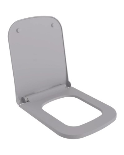 Сиденье для унитаза с микролифтом Ambassador Benefit 202T20301S