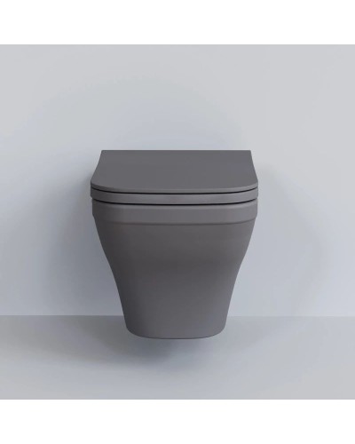 Сиденье для унитаза с микролифтом Ambassador Benefit 202T20301S