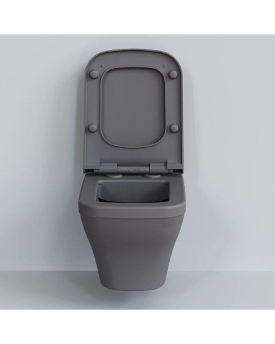 Сиденье для унитаза с микролифтом Ambassador Benefit 202T20301S