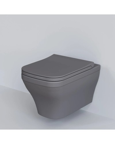 Сиденье для унитаза с микролифтом Ambassador Benefit 202T20301S