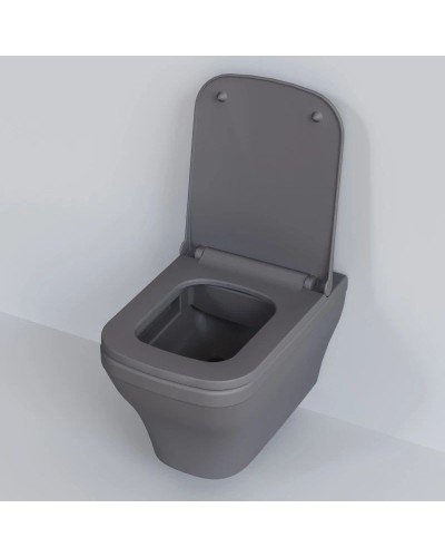 Сиденье для унитаза с микролифтом Ambassador Benefit 202T20301S