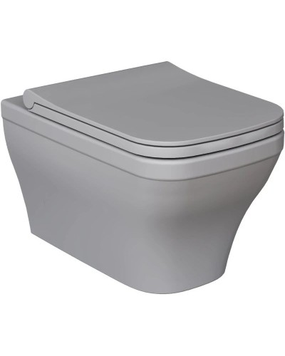 Сиденье для унитаза с микролифтом Ambassador Benefit 202T20301S