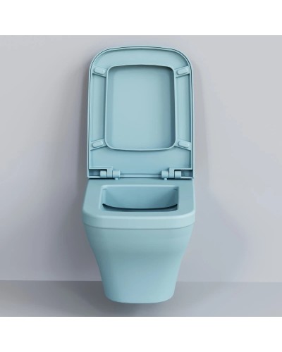 Сиденье для унитаза с микролифтом Ambassador Benefit 202T20801