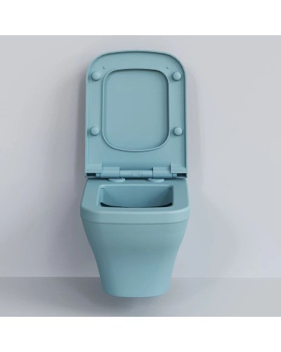 Сиденье для унитаза с микролифтом Ambassador Benefit 202T20801S