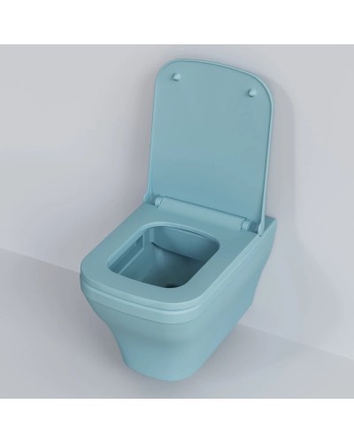 Сиденье для унитаза с микролифтом Ambassador Benefit 202T20801S