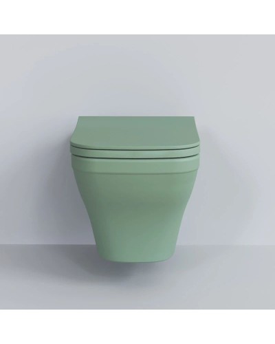 Сиденье для унитаза с микролифтом Ambassador Benefit 202T21001S