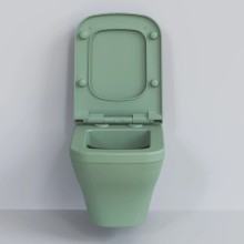 Сиденье для унитаза с микролифтом Ambassador Benefit 202T21001S