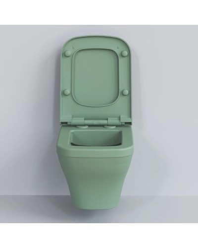 Сиденье для унитаза с микролифтом Ambassador Benefit 202T21001S