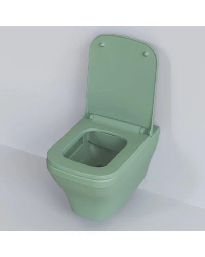 Сиденье для унитаза с микролифтом Ambassador Benefit 202T21001S