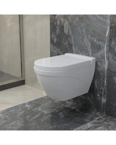 Сиденье для унитаза с микролифтом Ambassador Nord 132T20001