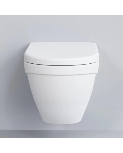 Сиденье для унитаза с микролифтом Ambassador Nord 132T20101