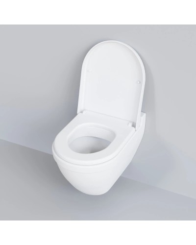 Сиденье для унитаза с микролифтом Ambassador Nord 132T20101