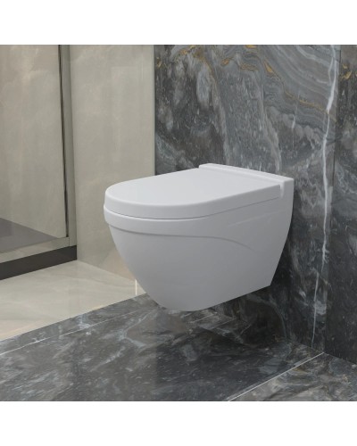 Сиденье для унитаза с микролифтом Ambassador Nord 132T20101