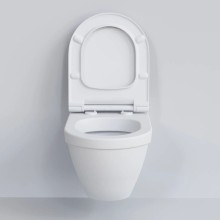 Сиденье для унитаза с микролифтом Ambassador Nord 132T20101S