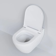 Сиденье для унитаза с микролифтом Ambassador Nord 132T20101S