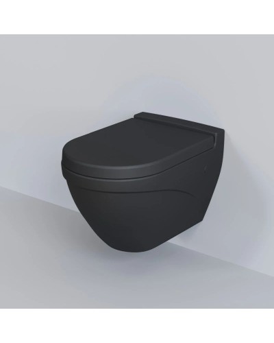 Сиденье для унитаза с микролифтом Ambassador Nord 132T20201