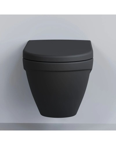 Сиденье для унитаза с микролифтом Ambassador Nord 132T20201