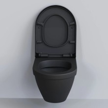 Сиденье для унитаза с микролифтом Ambassador Nord 132T20201