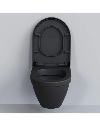 Сиденье для унитаза с микролифтом Ambassador Nord 132T20201