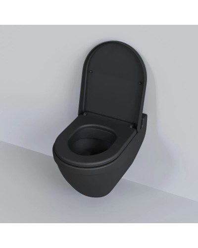 Сиденье для унитаза с микролифтом Ambassador Nord 132T20201