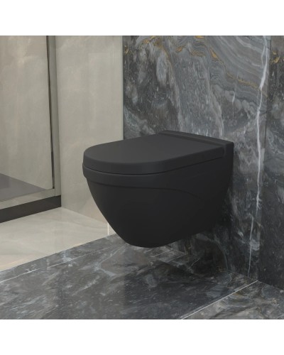 Сиденье для унитаза с микролифтом Ambassador Nord 132T20201