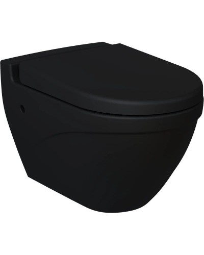 Сиденье для унитаза с микролифтом Ambassador Nord 132T20201