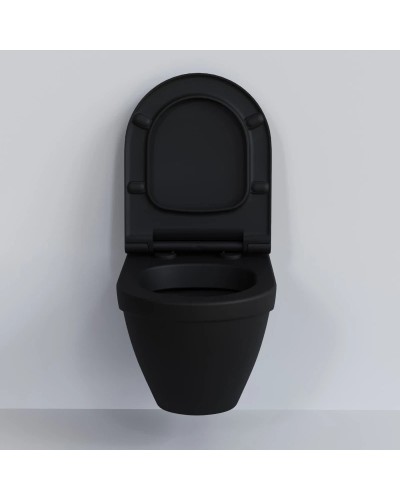 Сиденье для унитаза с микролифтом Ambassador Nord 132T20201S