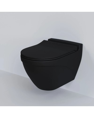 Сиденье для унитаза с микролифтом Ambassador Nord 132T20201S