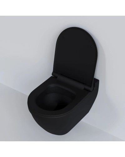 Сиденье для унитаза с микролифтом Ambassador Nord 132T20201S