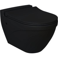 Сиденье для унитаза с микролифтом Ambassador Nord 132T20201S