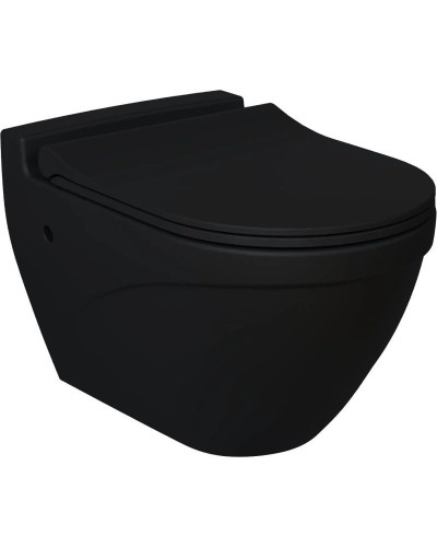 Сиденье для унитаза с микролифтом Ambassador Nord 132T20201S