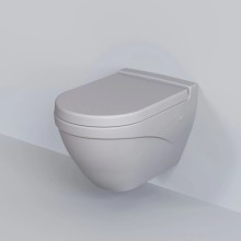 Сиденье для унитаза с микролифтом Ambassador Nord 132T20301