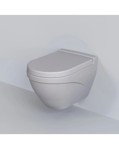 Сиденье для унитаза с микролифтом Ambassador Nord 132T20301